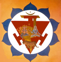 Le CHAKRA MULADHARA