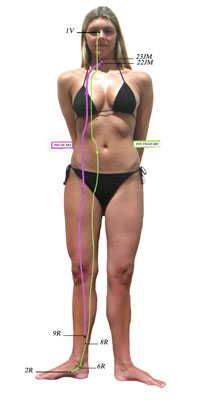 Le merveilleux vaisseaux Inn Oé Mo