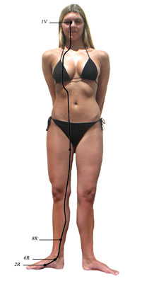 Le merveilleux vaisseaux Inn Tsiao Mo