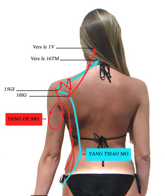Le merveilleux vaisseaux Yang Oé Mo