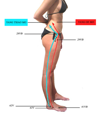 Le merveilleux vaisseaux Yang Oé Mo