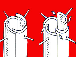 Filament de Casley